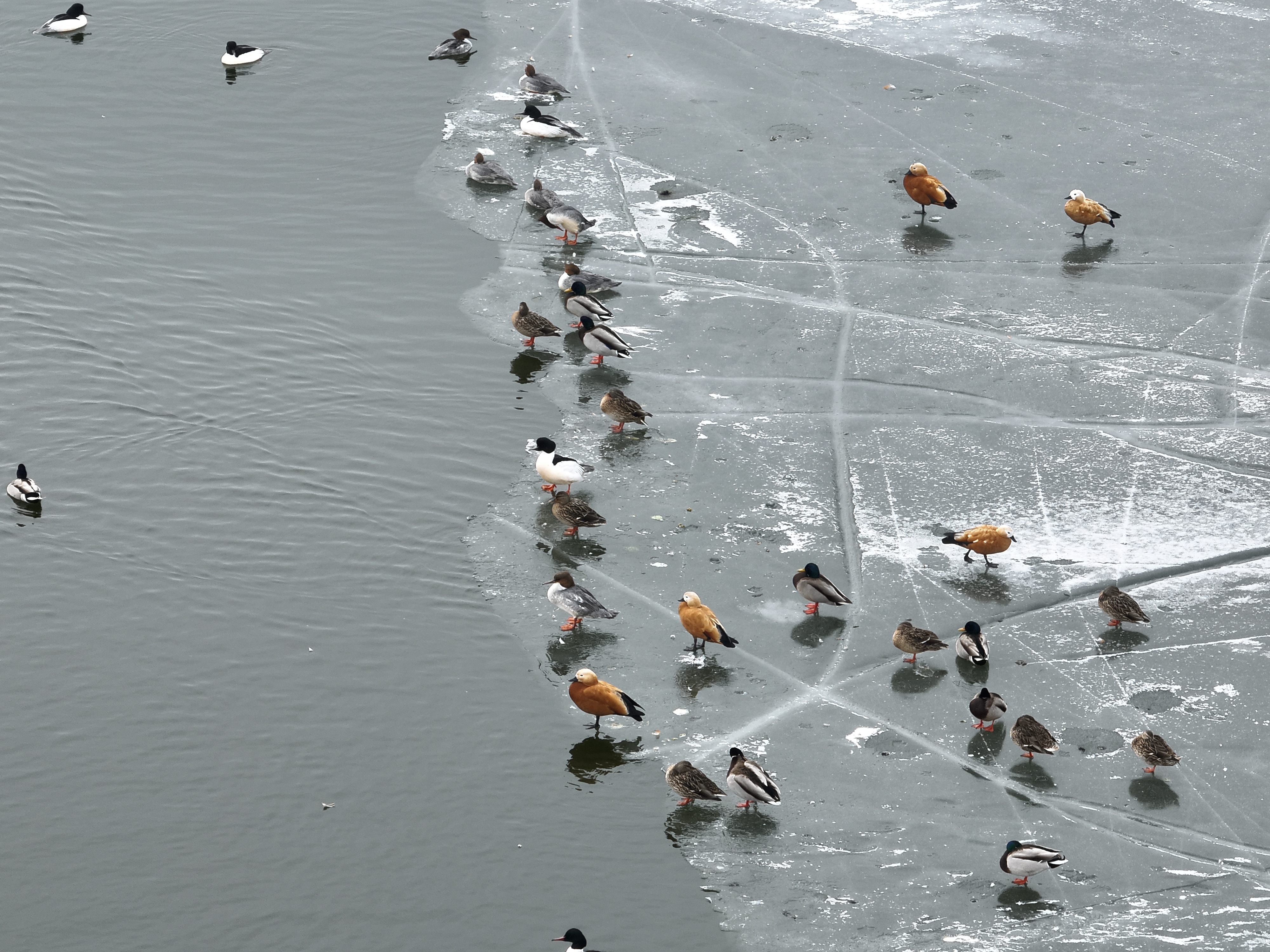 開(kāi)閘！永定河2025年春季生態(tài)補(bǔ)水全面啟動(dòng)