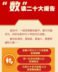 “數(shù)”讀二十大報告