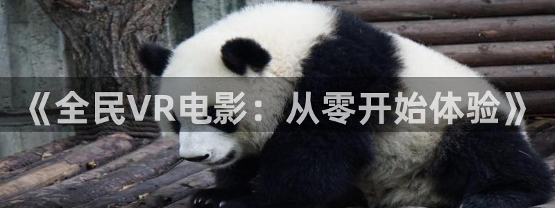 在線電影玖玖玖：《全民VR電影：從零開始體驗》