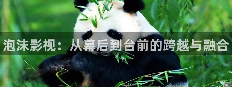 99玖玖精品免費視頻：泡沫影視：從幕后到臺前的跨越與融合