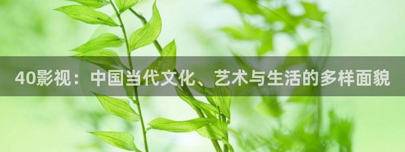 玖玖熱久久精品視頻在線觀看：40影視：中國當(dāng)代文化、藝術(shù)與生活的多樣面貌