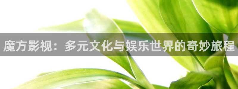 玖玖污精品免費(fèi)視頻：魔方影視：多元文化與娛樂世界的奇妙旅程