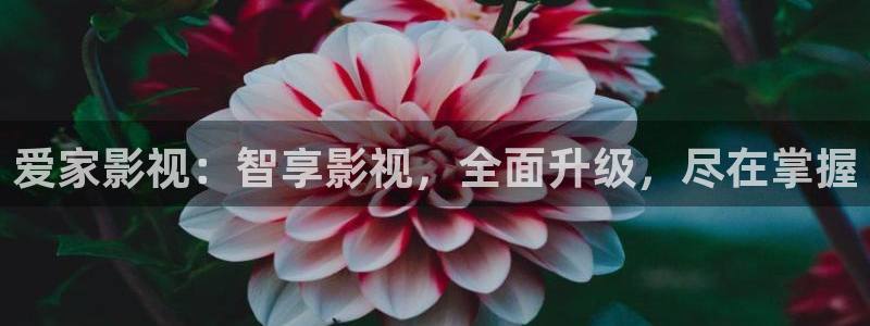 玖玖視頻免費觀看